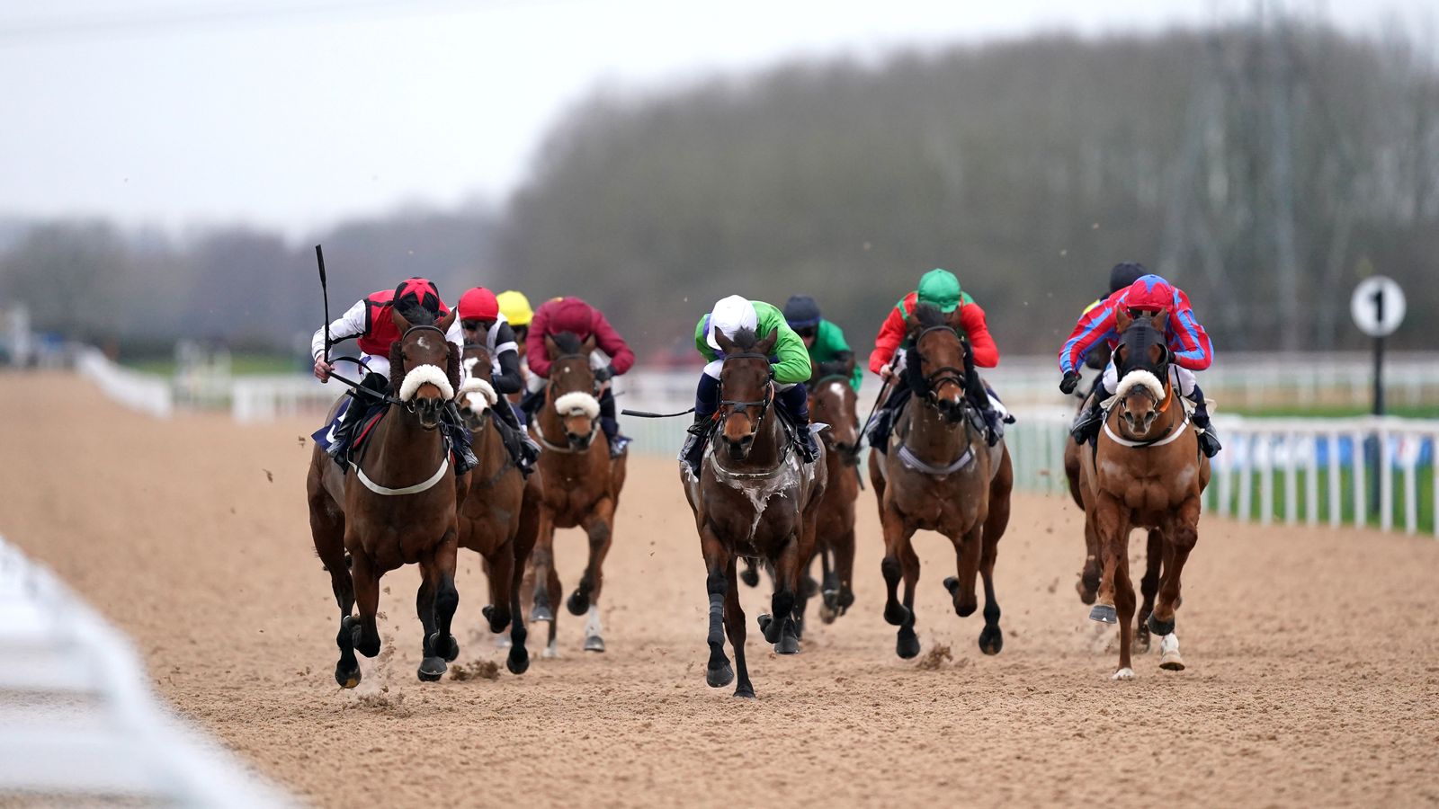 Today on Sky Sports Racing: Exciting two-year-olds clash at Southwell, with Brighton also live on Tuesday | Racing News