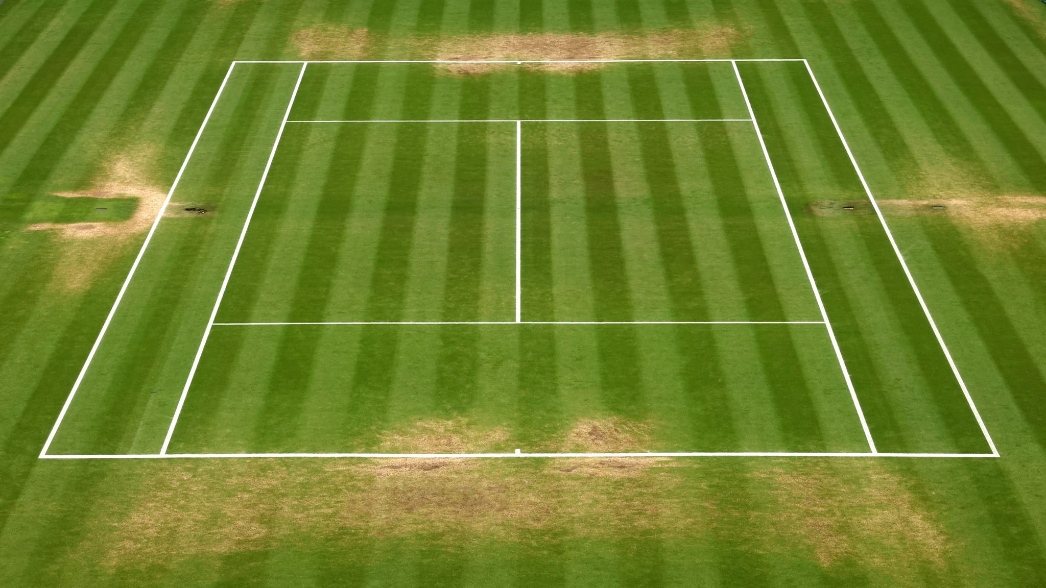 The 15-Hour Days Keeping Wimbledon’s Grass Alive