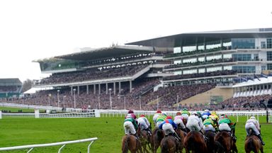 National Hunt Chase changes heart-breaking for amateur jockeys at Cheltenham