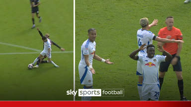 Should Leeds have been awarded a penalty?