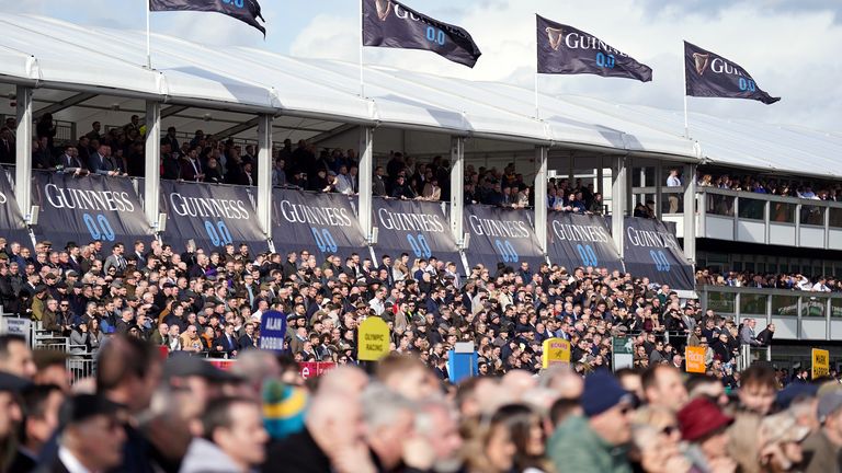 Drinking within view of the track had been heavily restricted at Cheltenham