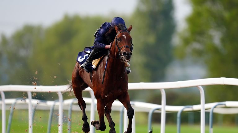 City Of Troy gallops round Southwell as he warms up for the Breeders&#39; Cup