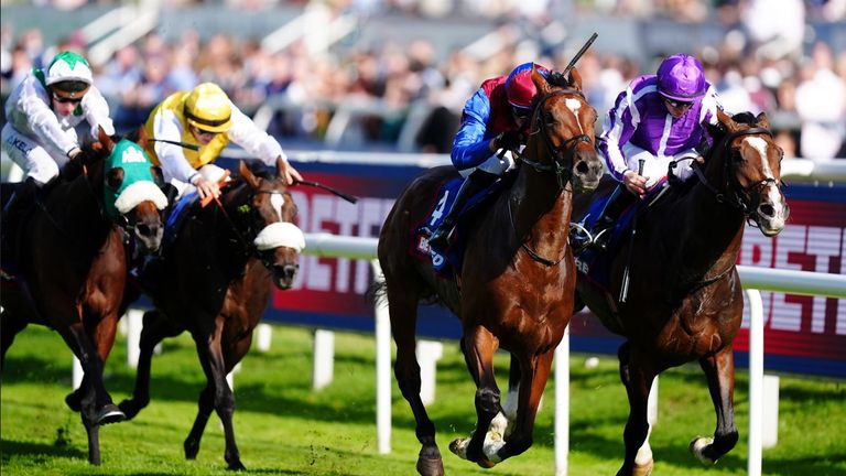 Jan Brueghel wins the St Leger