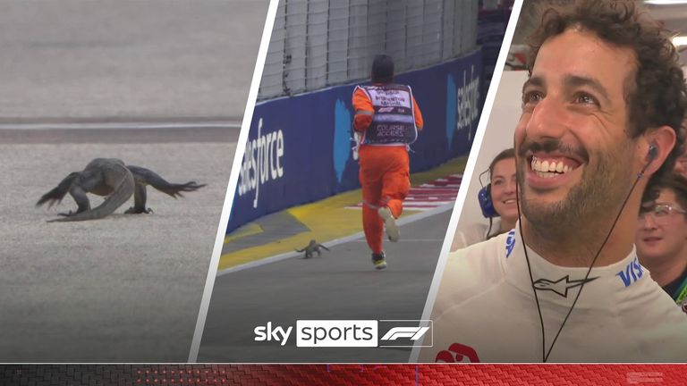 A stray lizard caused the red flag to be brought out during final practice at the Singapore Grand Prix!