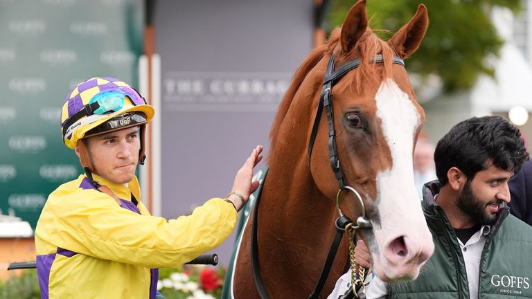 Scorthy Legend - winner at the Curragh