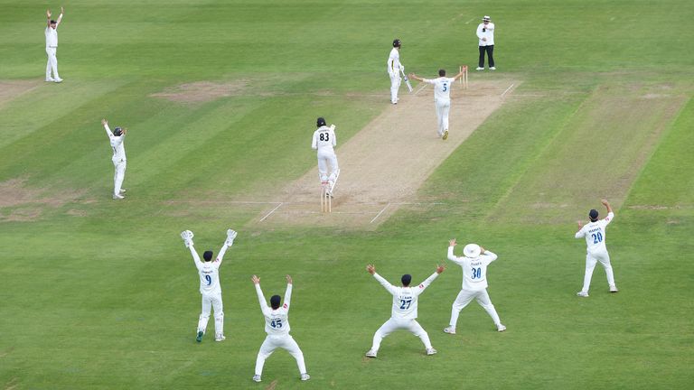 Henry Crocombe of Sussex celebrates victory and promotion with team-mates after claiming the wicket of Dominic Goodman of Gloucestershire 