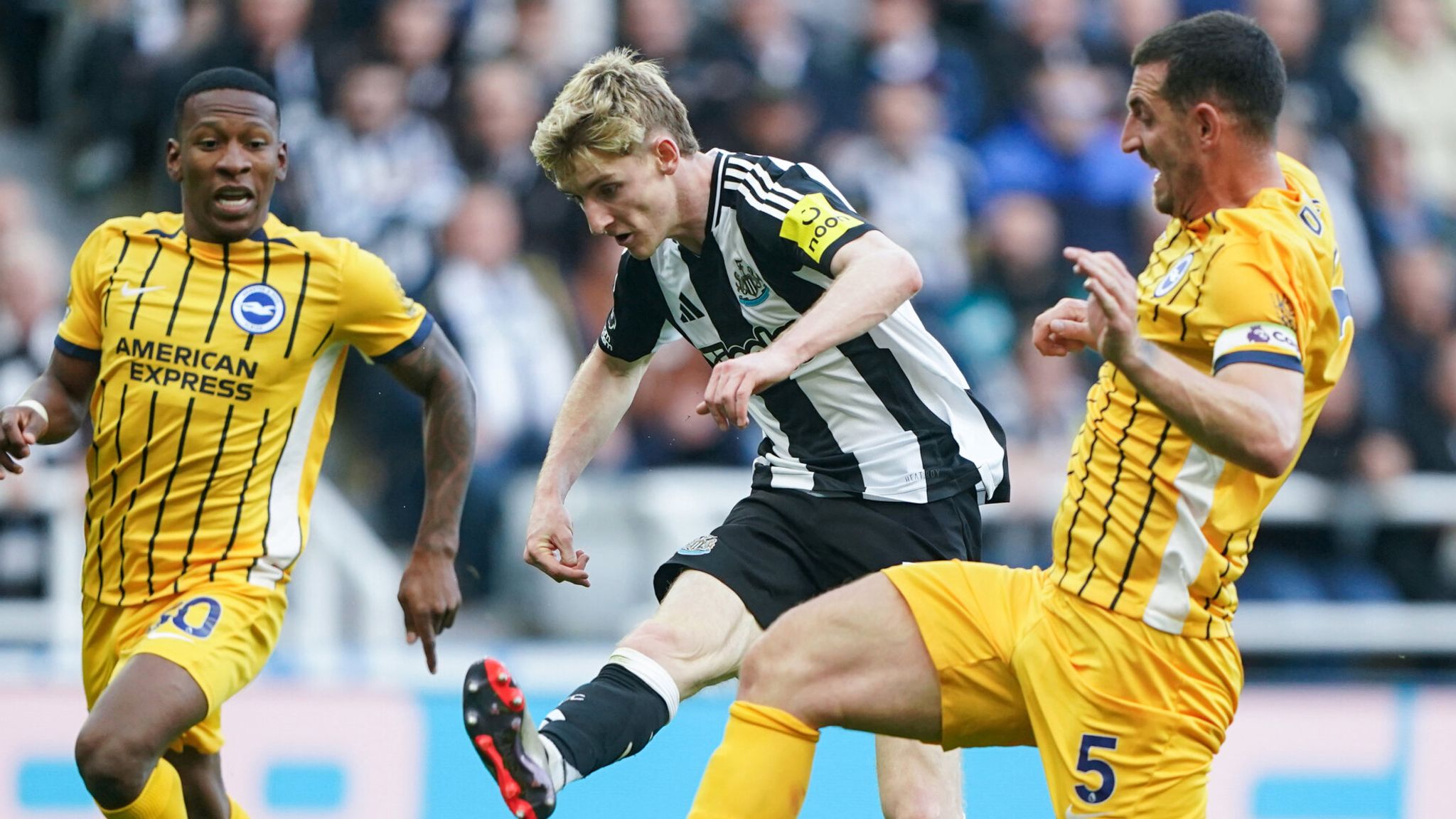 Newcastle vs Brighton LIVE! Premier League match updates, news and