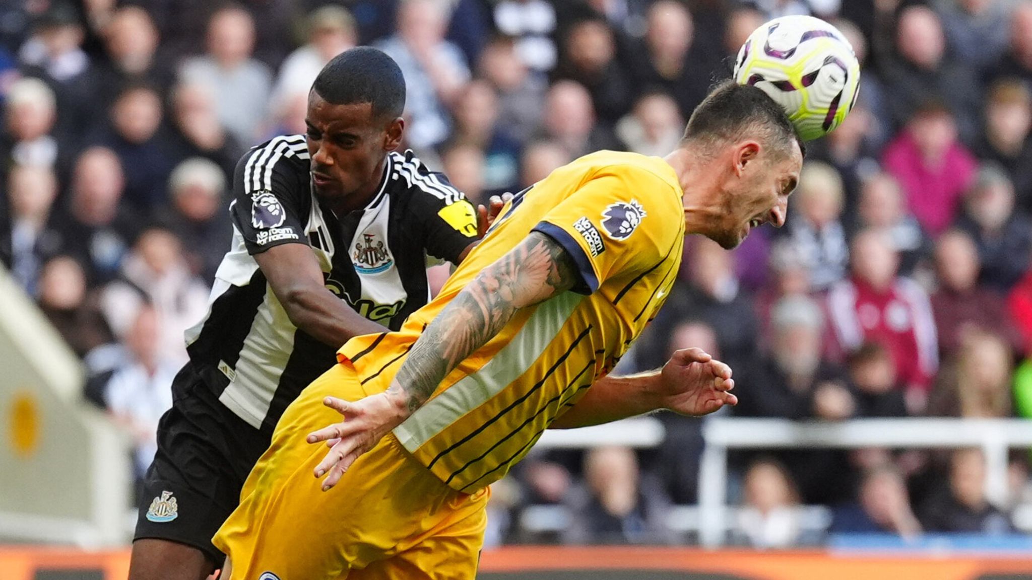Newcastle vs Brighton LIVE! Premier League match updates, news and