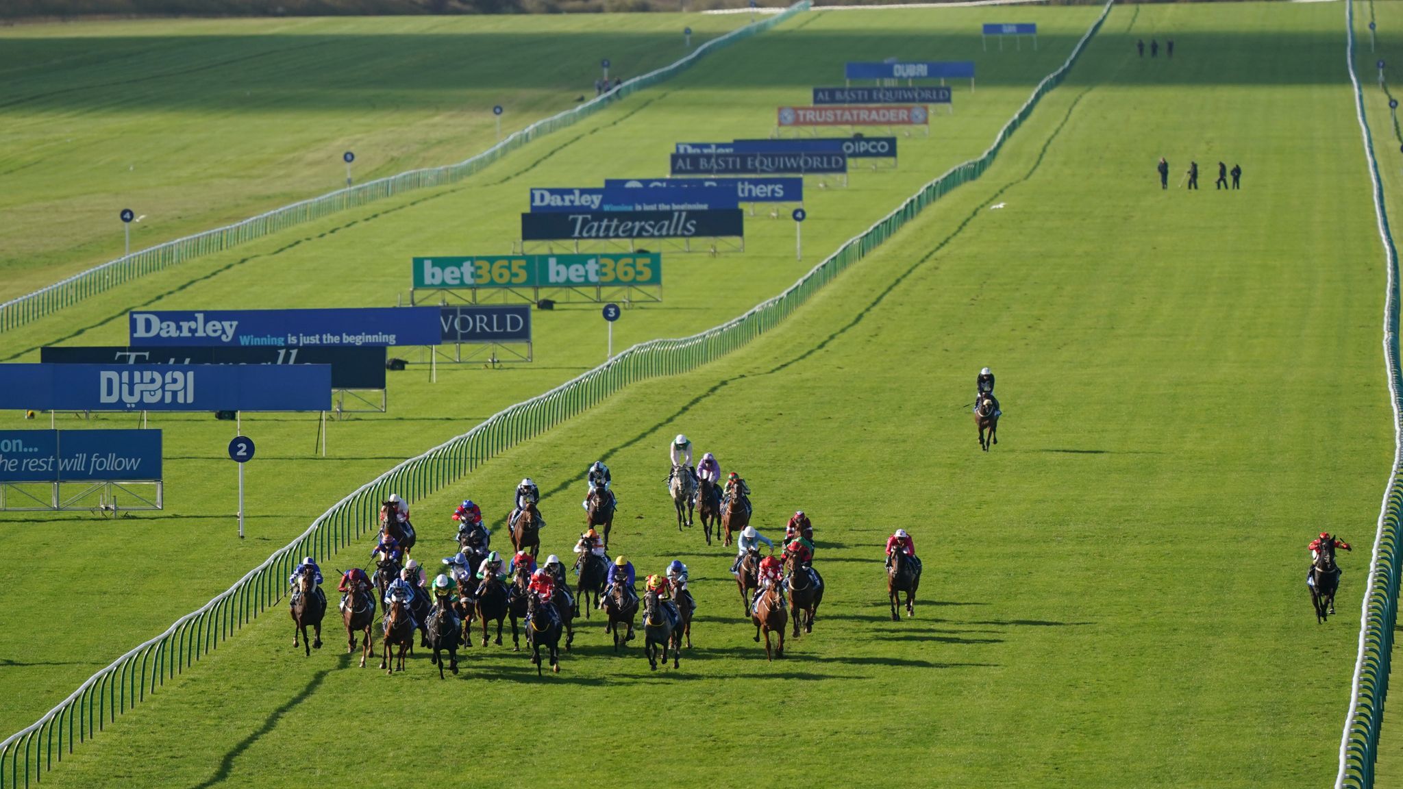 Saturday tips Maxman tipped to land Cesarewitch Handicap gold at