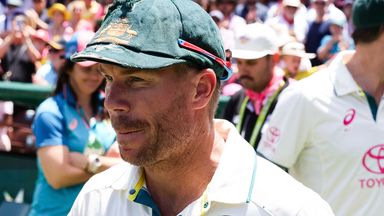 David Warner's lifetime leadership ban for involvement in sandpaper