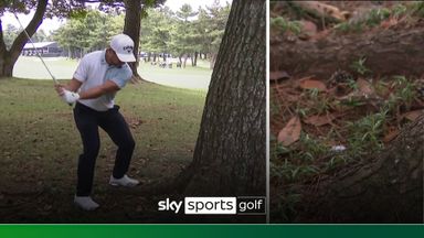 'Oh no!' | Schauffele tree root nightmare ends in quadruple bogey