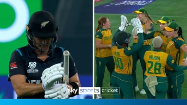 'A massive review for South Africa!' | Devine wicket falls after DRS