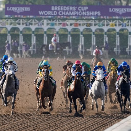 Breeders' Cup - A weekend like no other! 