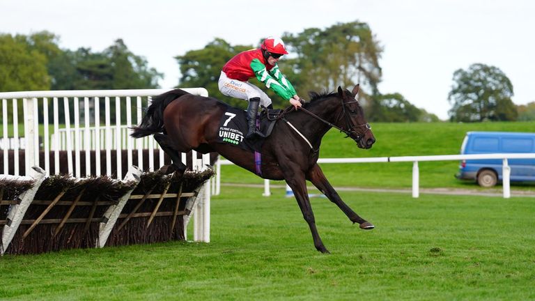 Flying Fortune produced a jumping exhibition