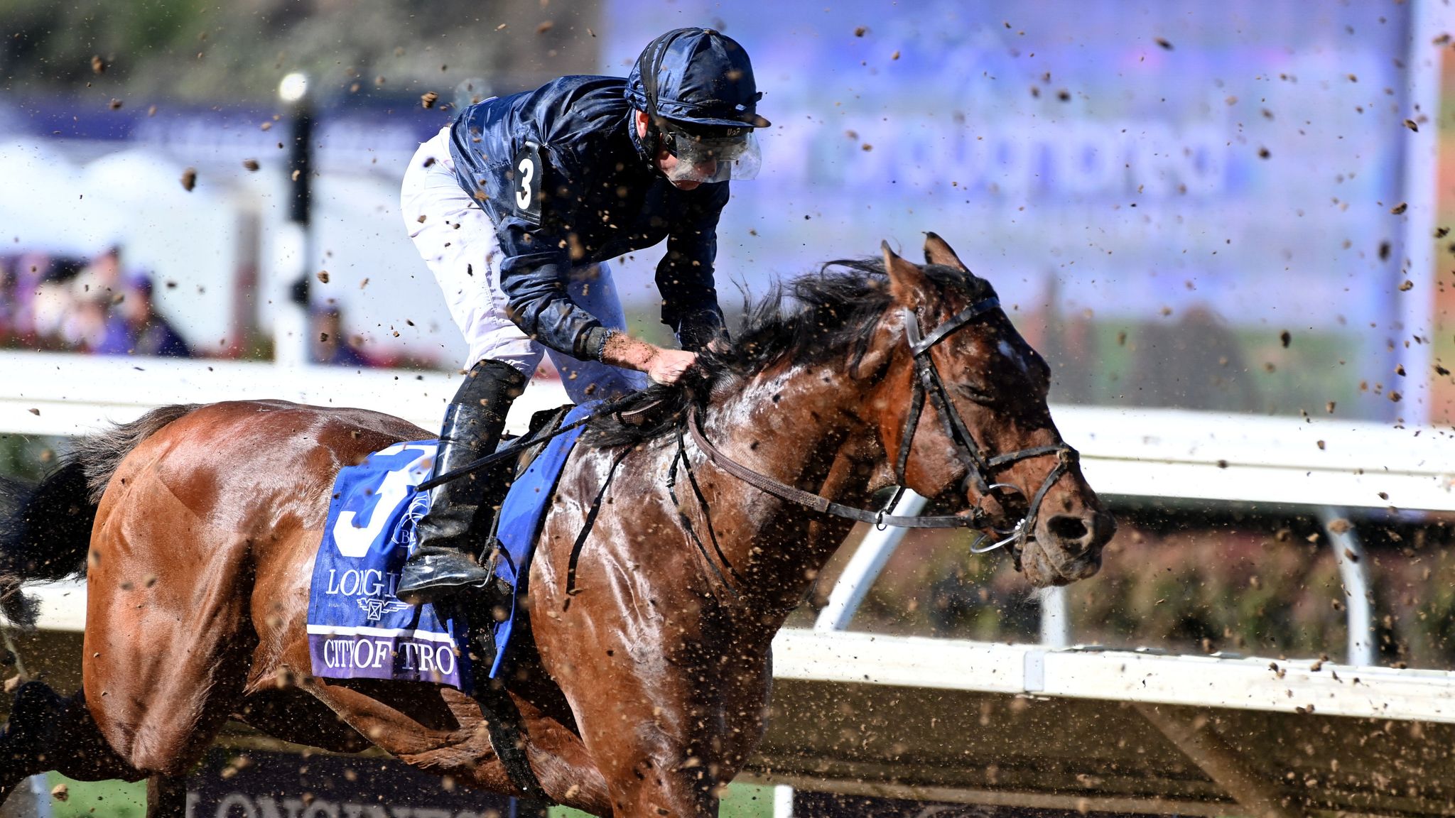 Cartier Racing Awards City Of Troy crowned Horse of the Year as Charyn wins Older Horse prize