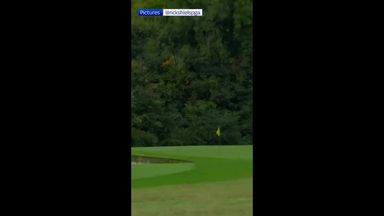 'It's right on it!' | Harry Kane attempts hole-in-one on a par 4!