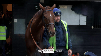 A morning in the snow with Coral Gold Cup contender Colonel Harry