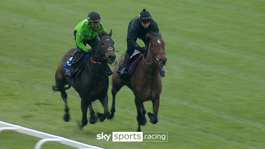 WATCH: Constitution Hill gallops with Sir Gino at Newbury