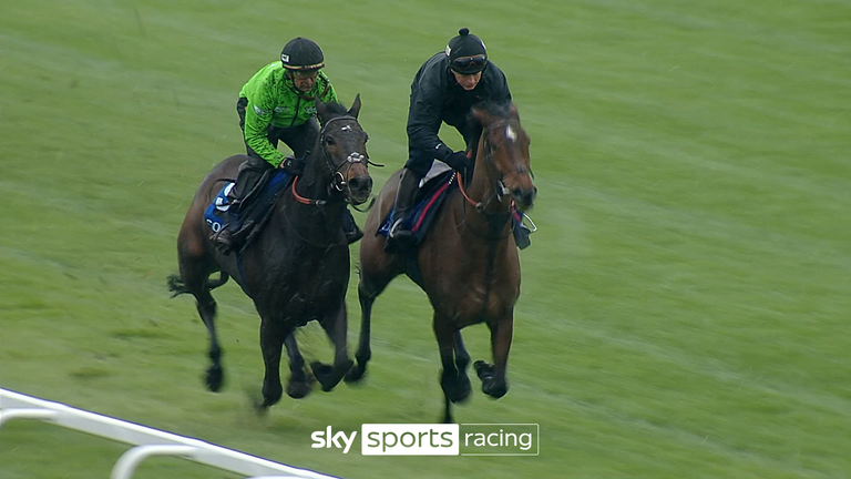 Constitution Hill gallops out with Sir Gino at Newbury ahead of the Fighting Fifth