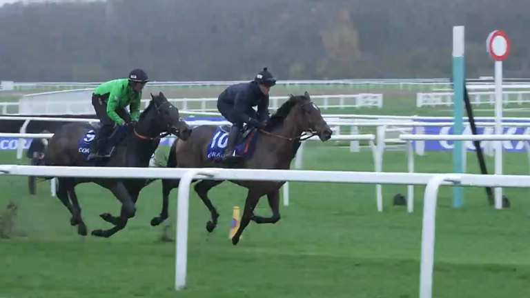 Constitution Hill (green) and Sir Gino gallop at Newbury