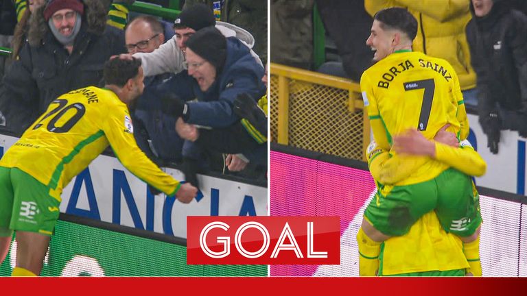 Norwich quickfire goals