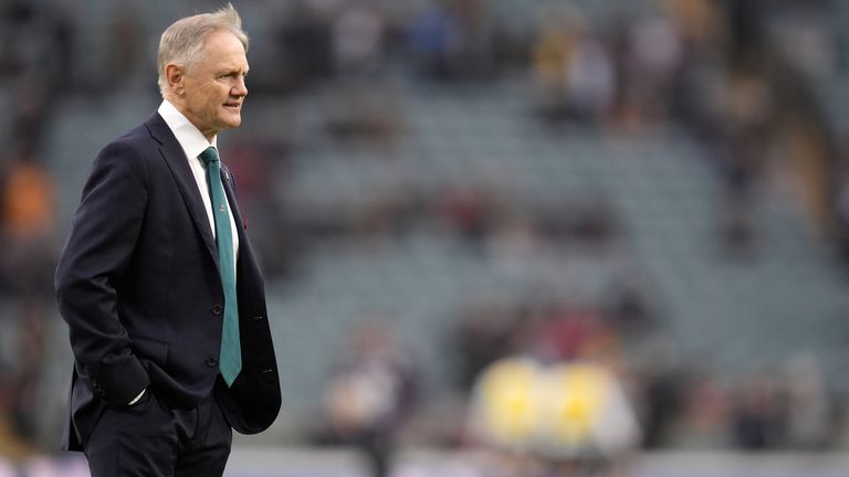 Joe Schmidt's emotional return to Dublin ended in defeat in the final match of the 2024 Autumn Nations series