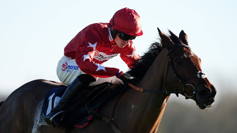 Regent's Stroll ridden by Harry Cobden 