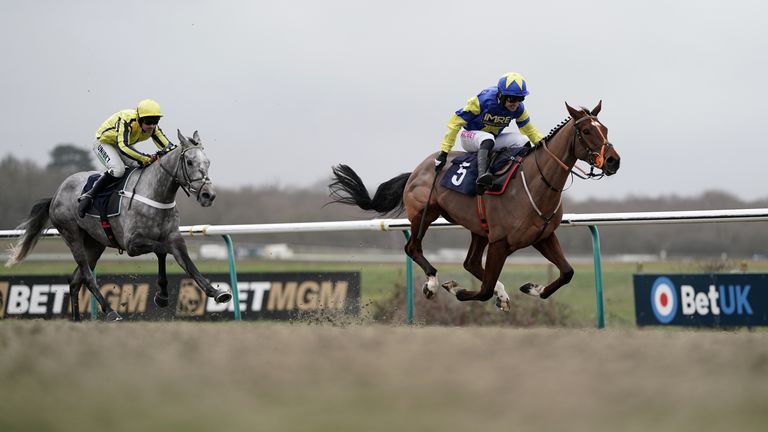 Tripoli Flyer in full flow when winning at Lingfield on the all-weather