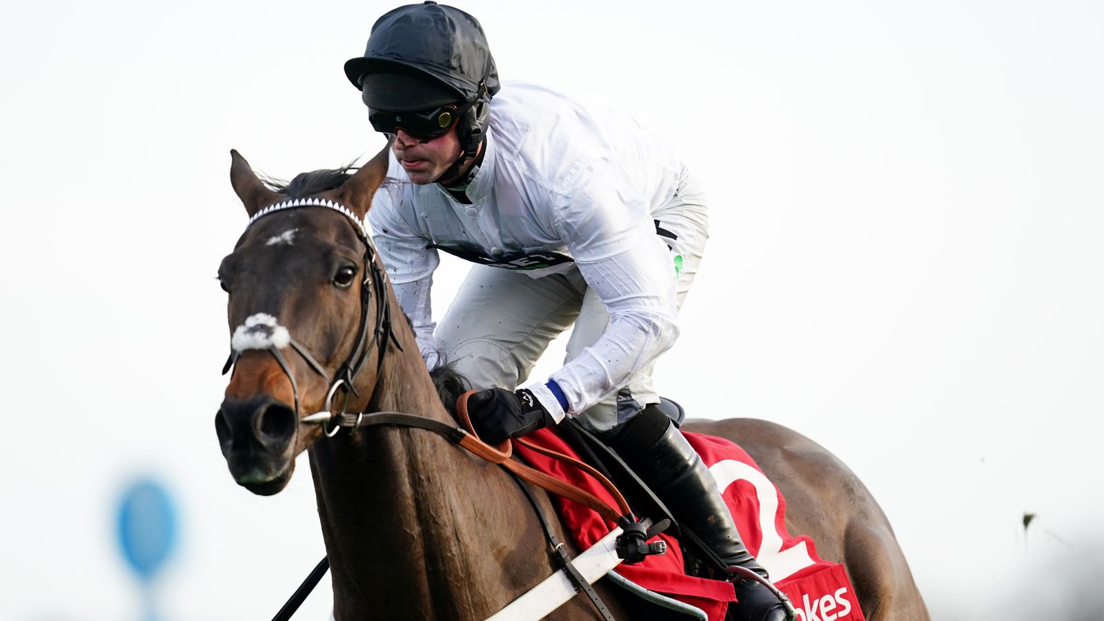 Nicky Henderson: Constitution Hill ‘looks fantastic’ ahead of Christmas Hurdle target