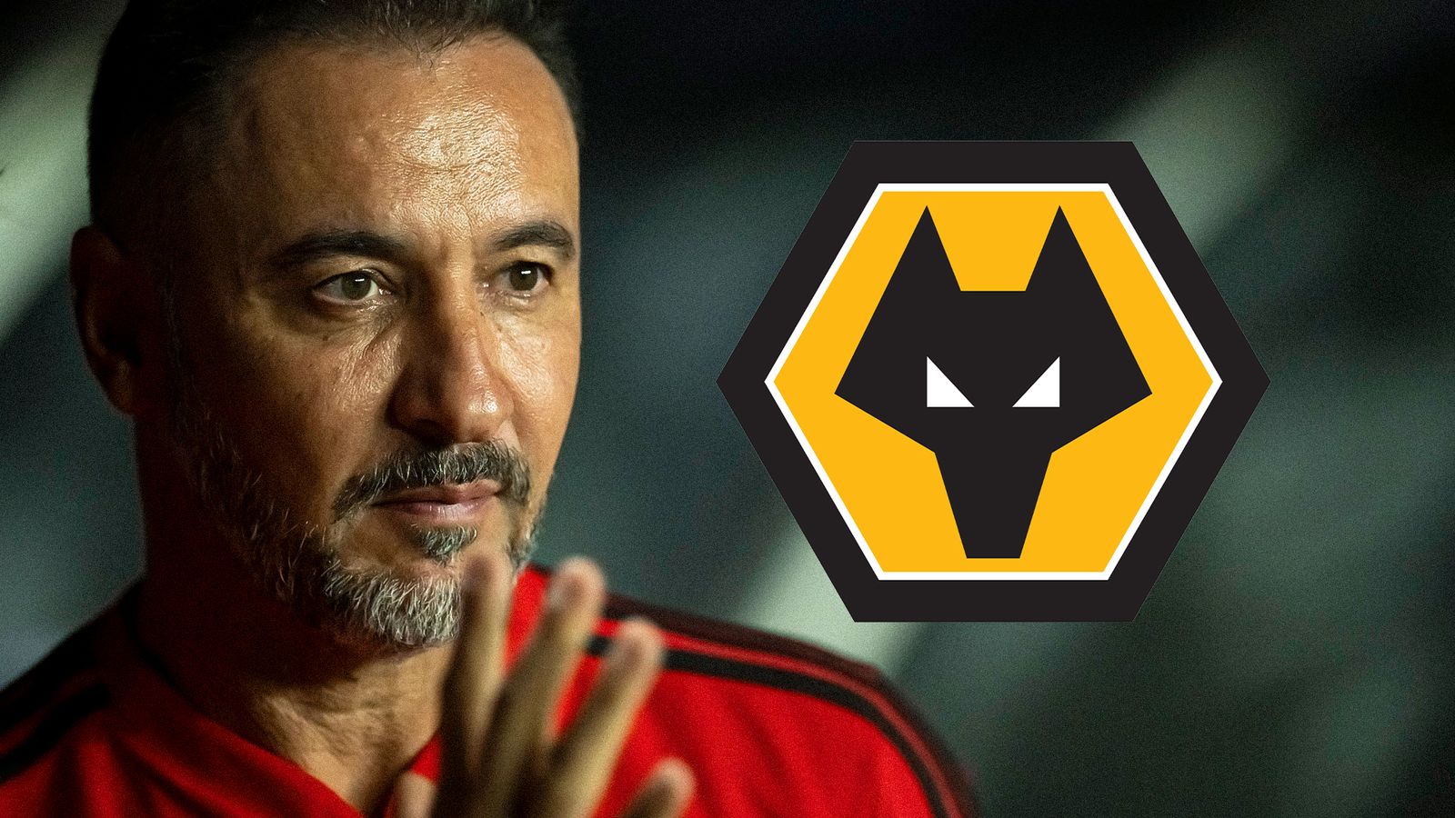 Wolves Appoint Vitor Pereira As Head Coach To Replace Gary O'Neil After ...