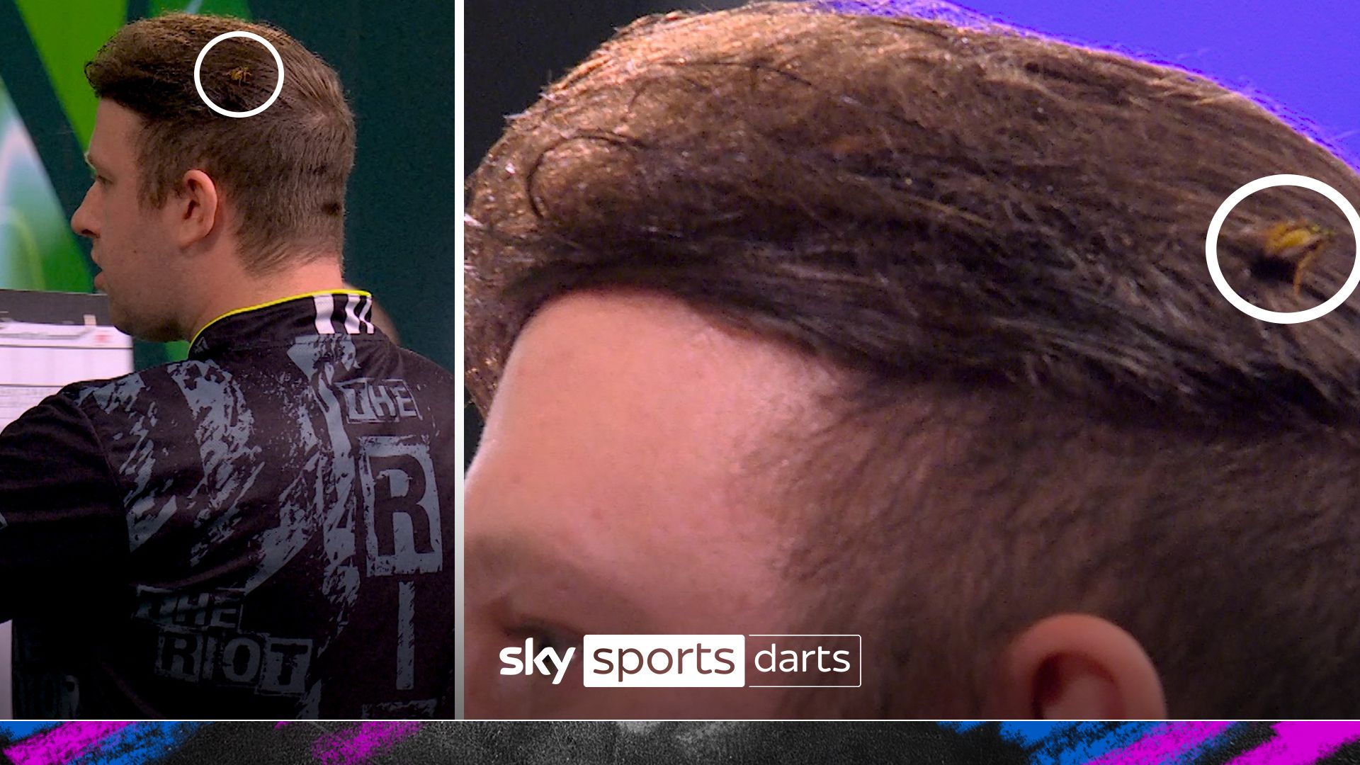 The Ally Pally wasp returns...on Rydz's hair!