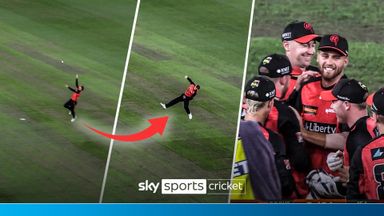 'Miraculous!' Harvey takes a one-handed SCREAMER in Big Bash!