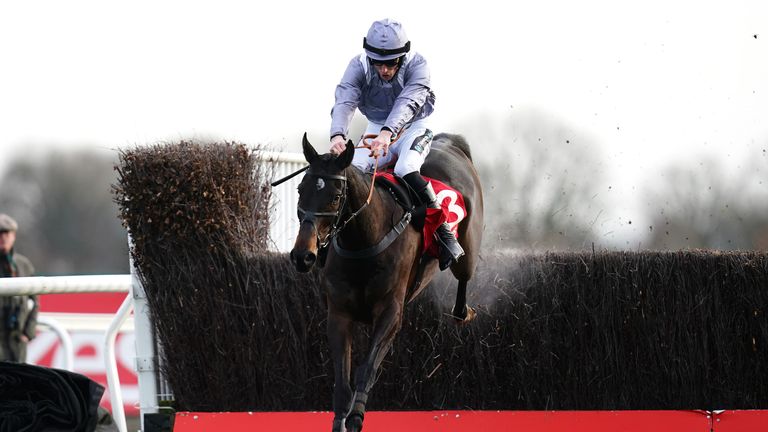 Il Est Francais impressed everyone with his jumping when winning at Kempton last year