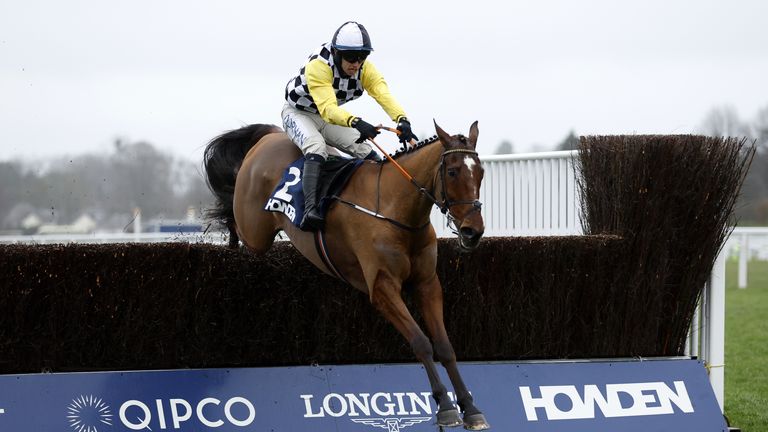 Jungle Boogie scales a fence at Ascot 