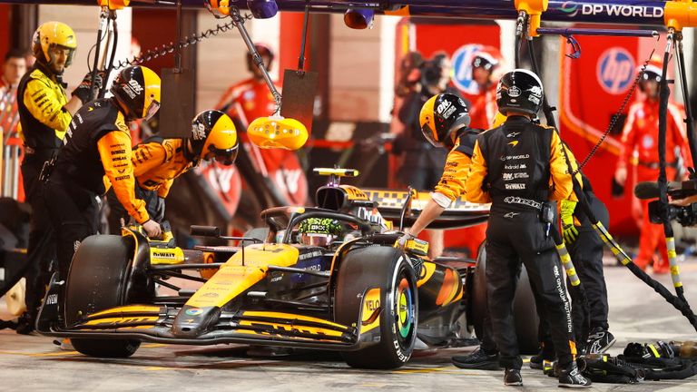 LOSAIL INTERNATIONAL CIRCUIT, QATAR - DECEMBER 01: Lando Norris, McLaren MCL38, serves his stop/go penalty during the Qatar GP at Losail International Circuit on Sunday December 01, 2024 in Losail, Qatar. (Photo by Andy Hone / LAT Images)