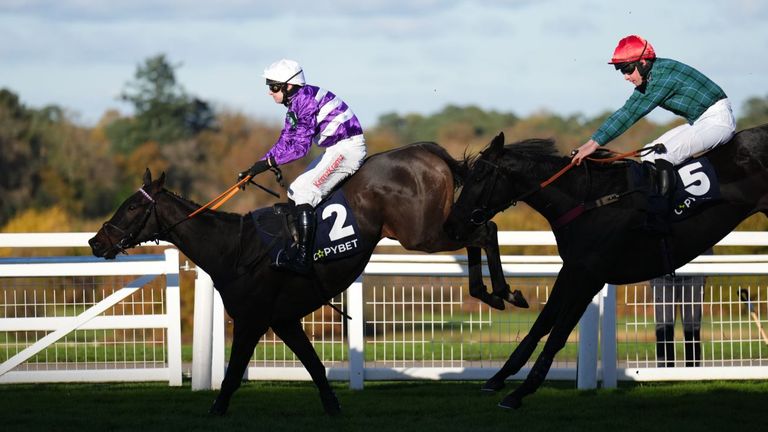 Rare Edition in winning action over fences at Ascot