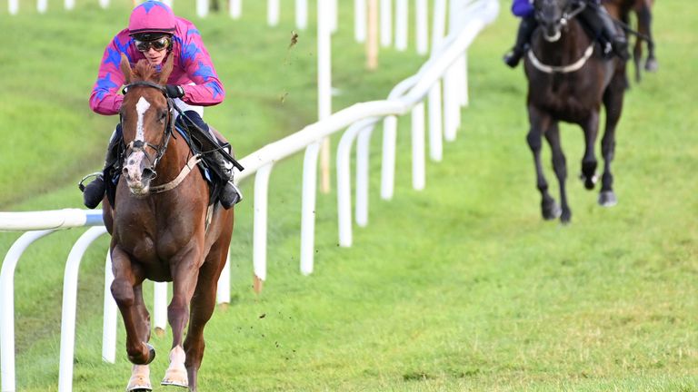 Tounsivator and Paul Townend won the Royal Bond 