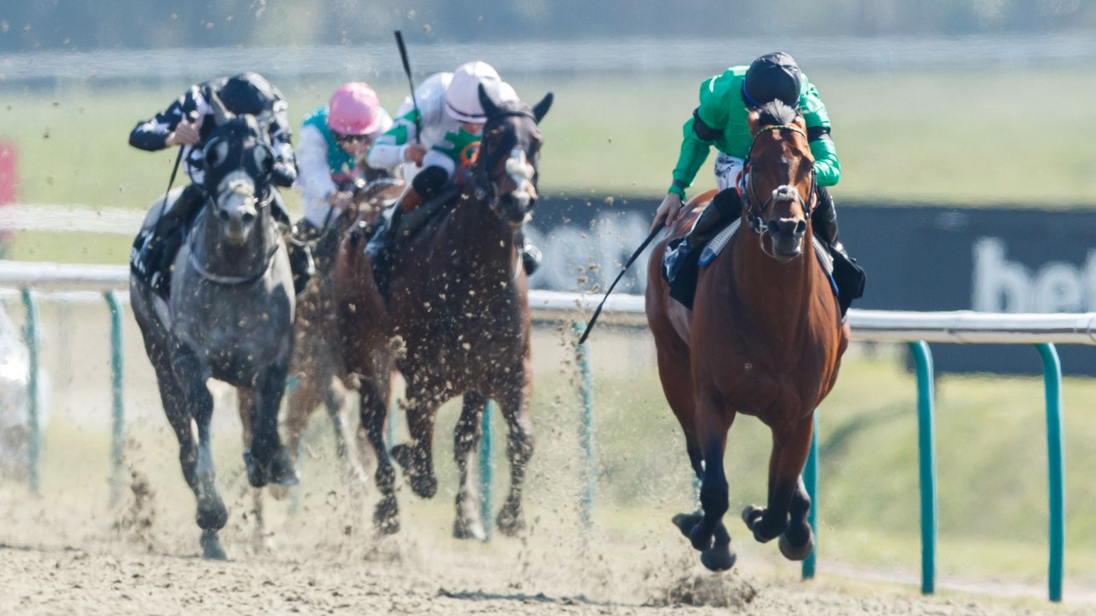 Today on Sky Sports Racing: Kachy Stakes from Lingfield Park | Racing News