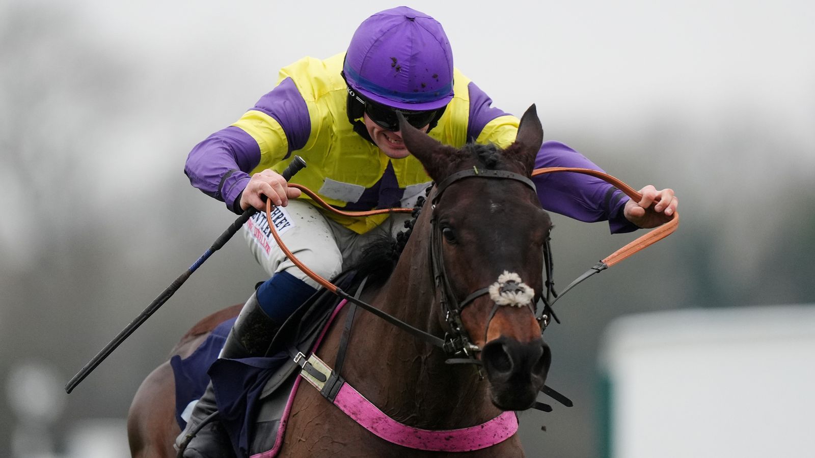 Today on Sky Sports Racing: Nemean Lion and Blueking d’Oroux headline National Spirit Hurdle at Fontwell on Sunday Trending Global News