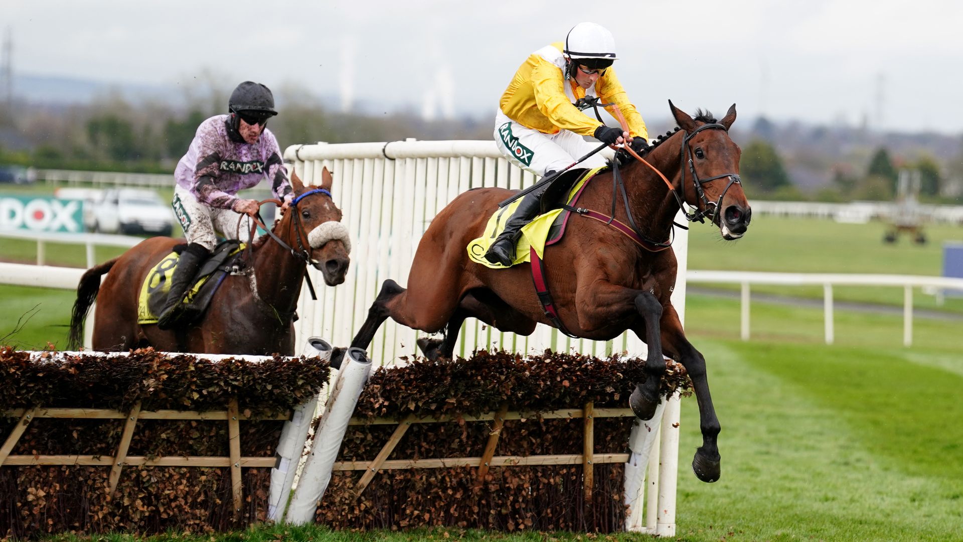 Apple Away and Fantastic Lady headline Listed Mares' Chase