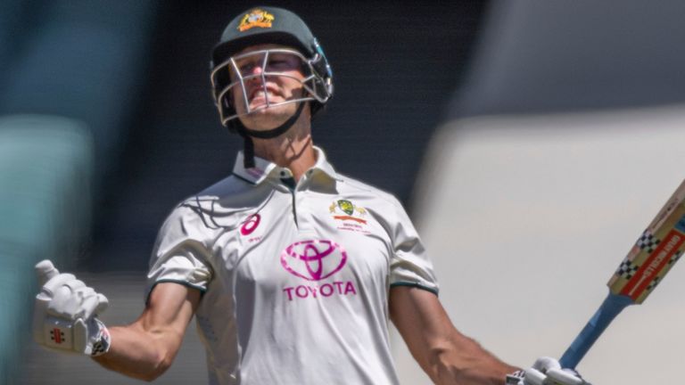 Australia's Beau Webster celebrates hitting the series-winning runs against India in Sydney (Associated Press)