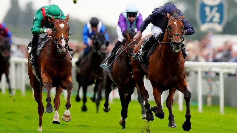 City Of Troy was the star of the show at Juddmonte International