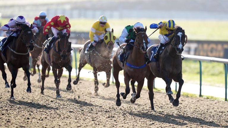 Lingfield hosts action on the all-weather