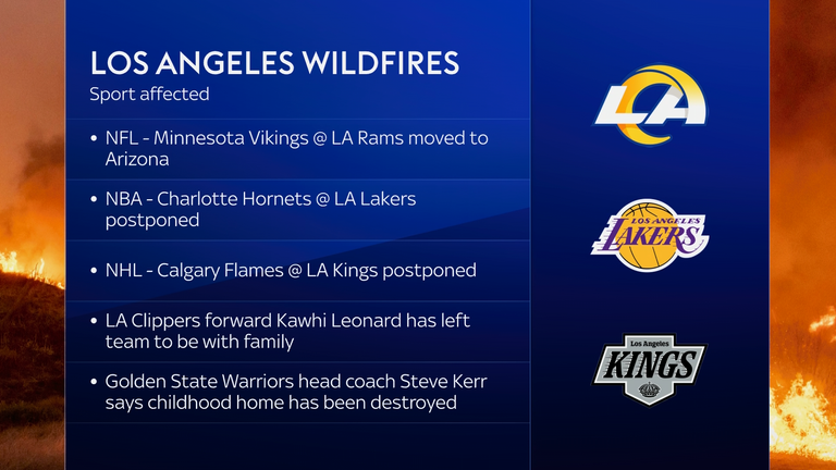 Los Angeles Wildfires