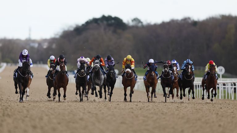 Newcastle hosts a busy all-weather card