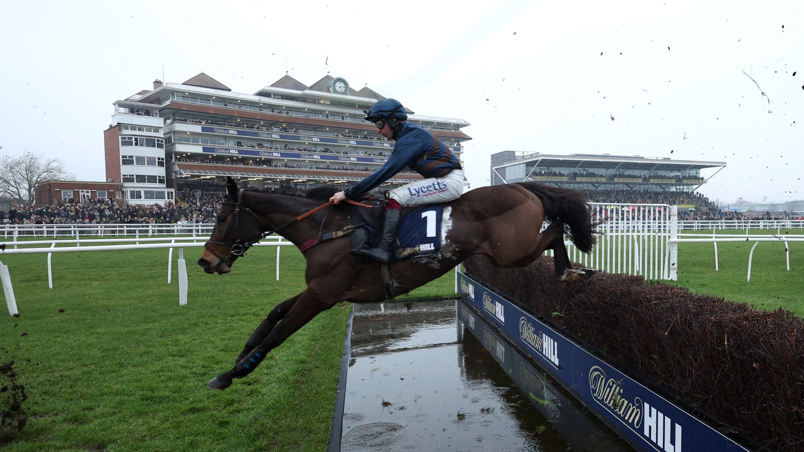 Newbury: Djelo goes the distance with Denman Chase victory