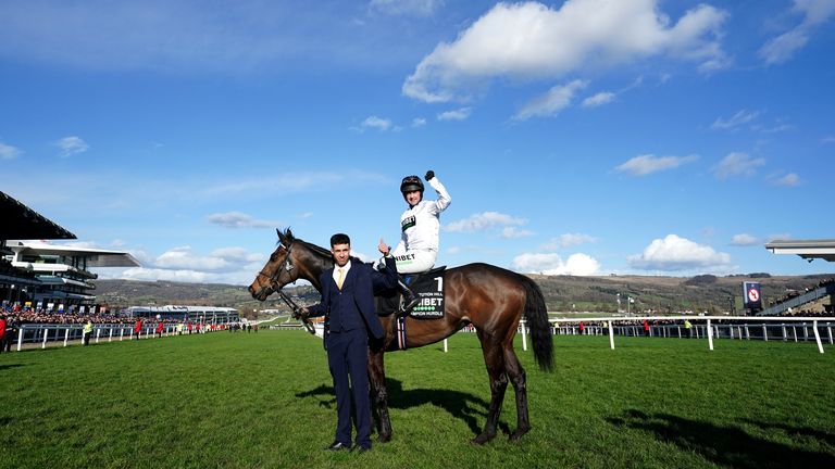 Constitution Hill will aim to regain his Champion Hurdle crown