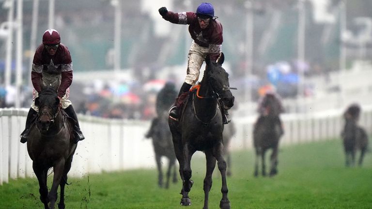 Delta Work Beat the Great Tiger Roll untuk memenangkan 2022 Cross Country Chase