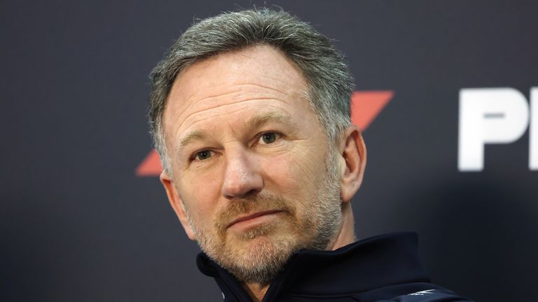 Red Bull team principal Christian Horner