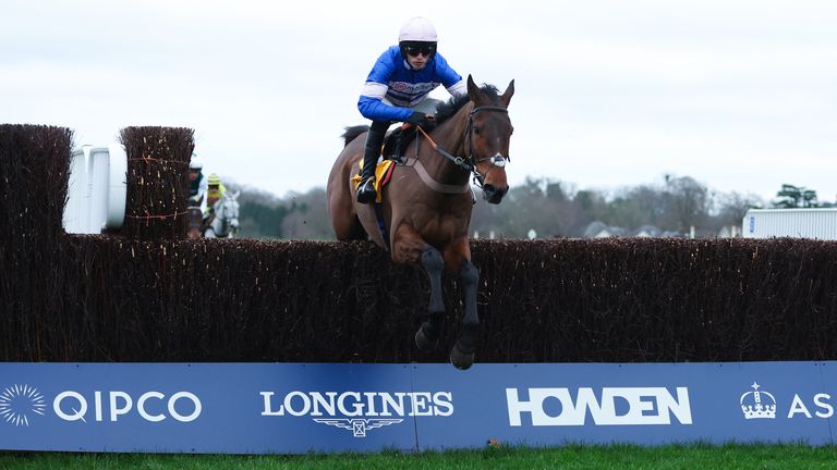 Pic D'Orhy holds strong claims in the Ascot Chase
